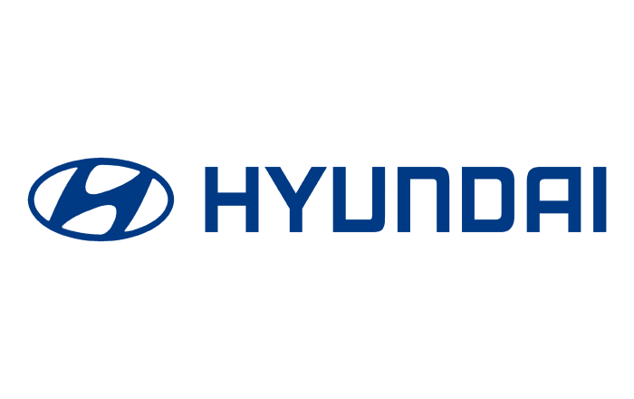 Sathru Holdings Pvt Ltd Hyundai Image